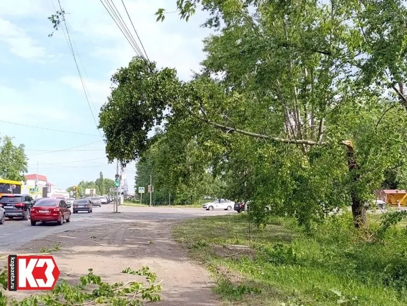Регина Кузнецова «КЗ».