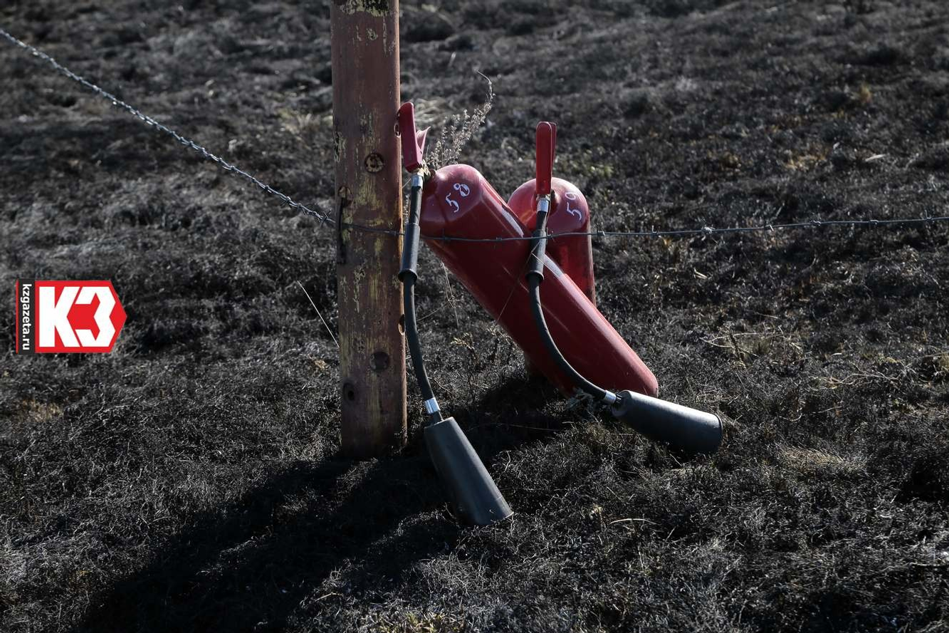 Руслан Никонов, «КЗ».