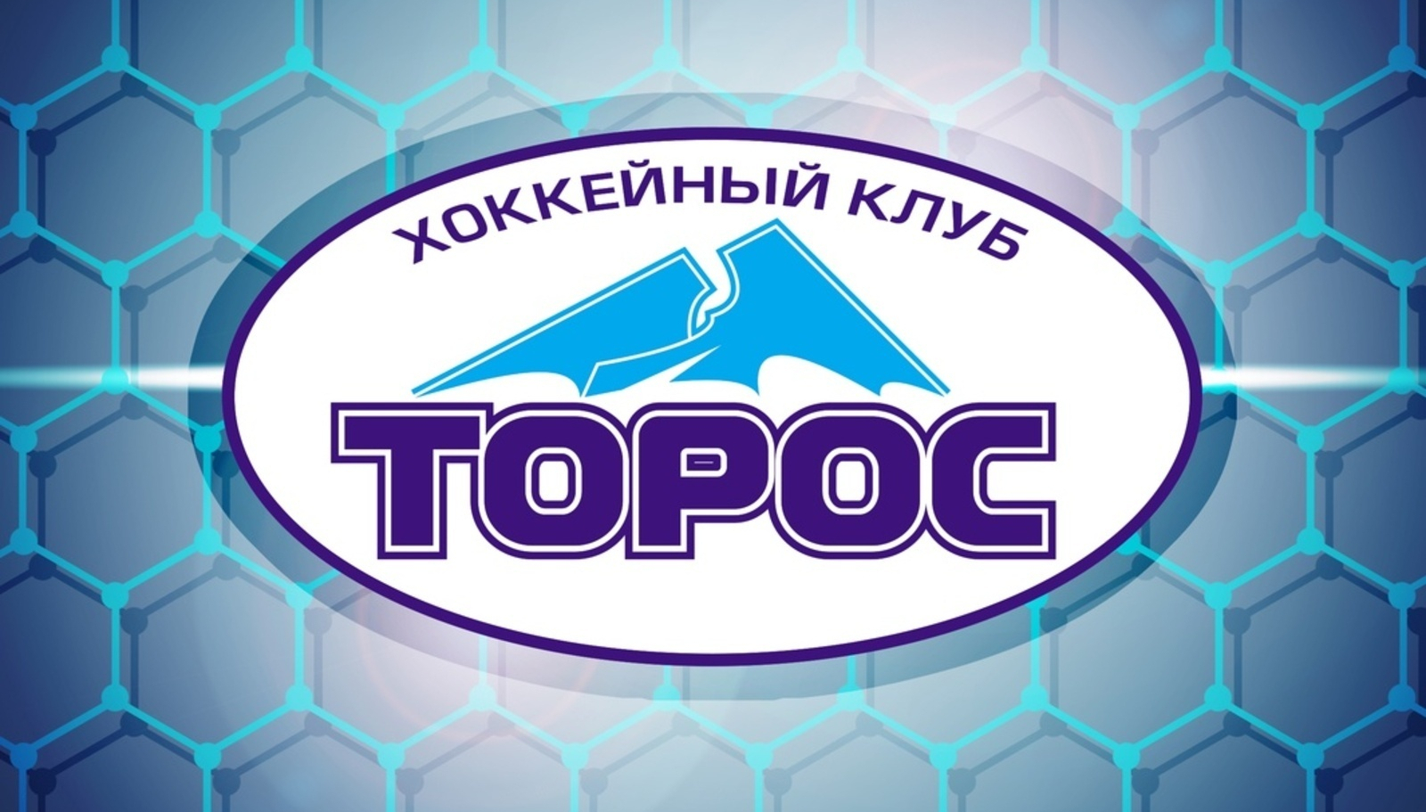 ВХЛ плей-офф: «Дизель» / «Торос» счёт в серии 2:2