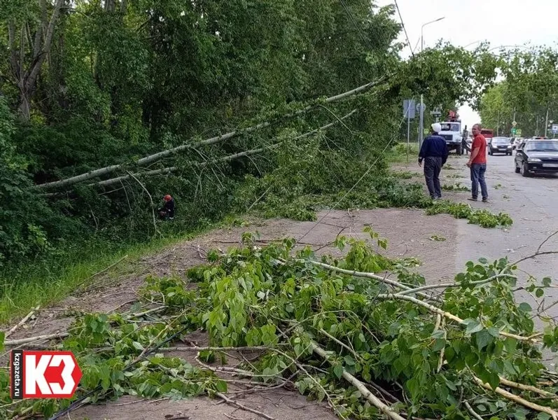 Регина Кузнецова «КЗ».
