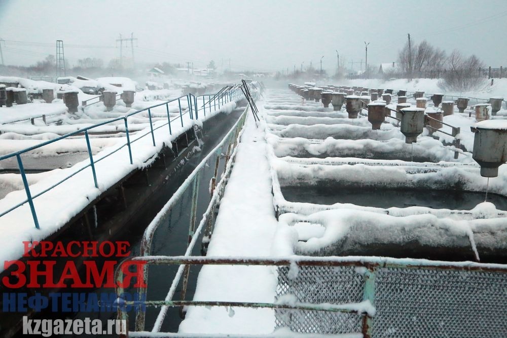 Руслан Никонов, «КЗ».  Садки с рыбой, стоящие в теплых водах водохранилища, не замерзают даже в лютый мороз.