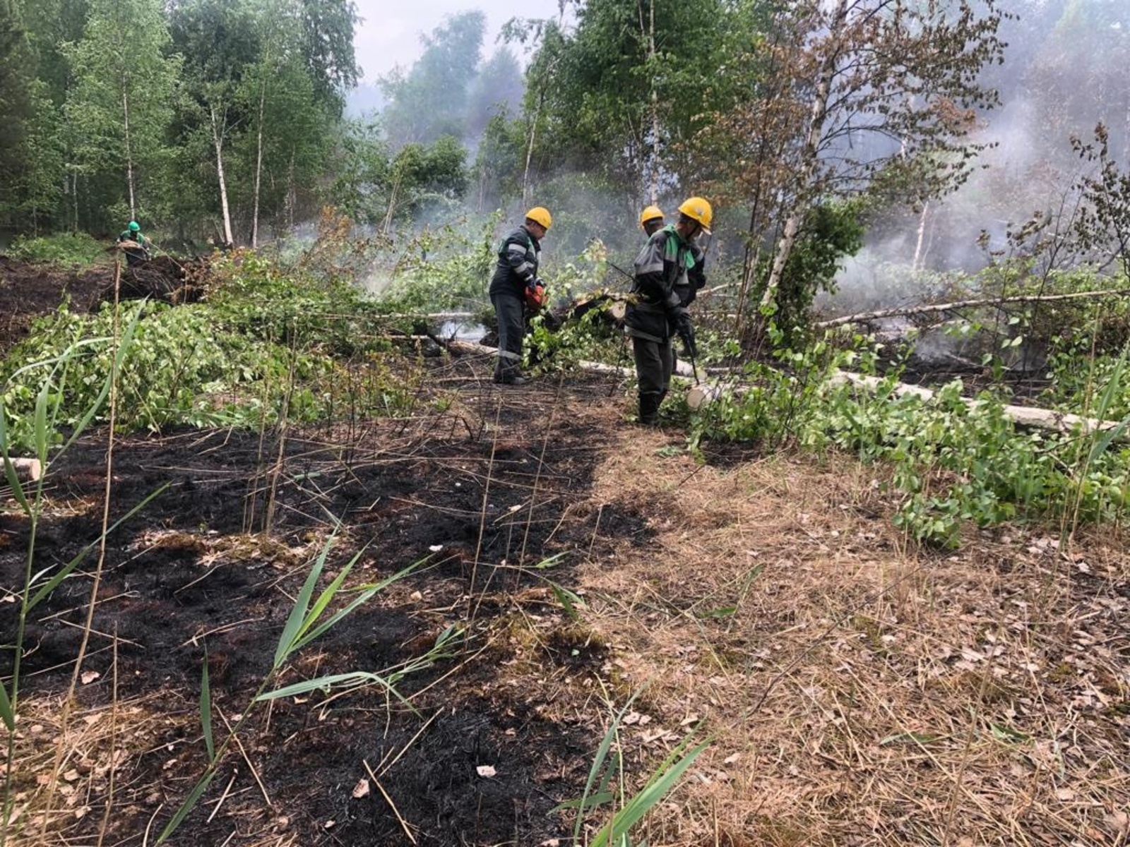 В Калтасинском районе продолжается тушение лесного пожара
