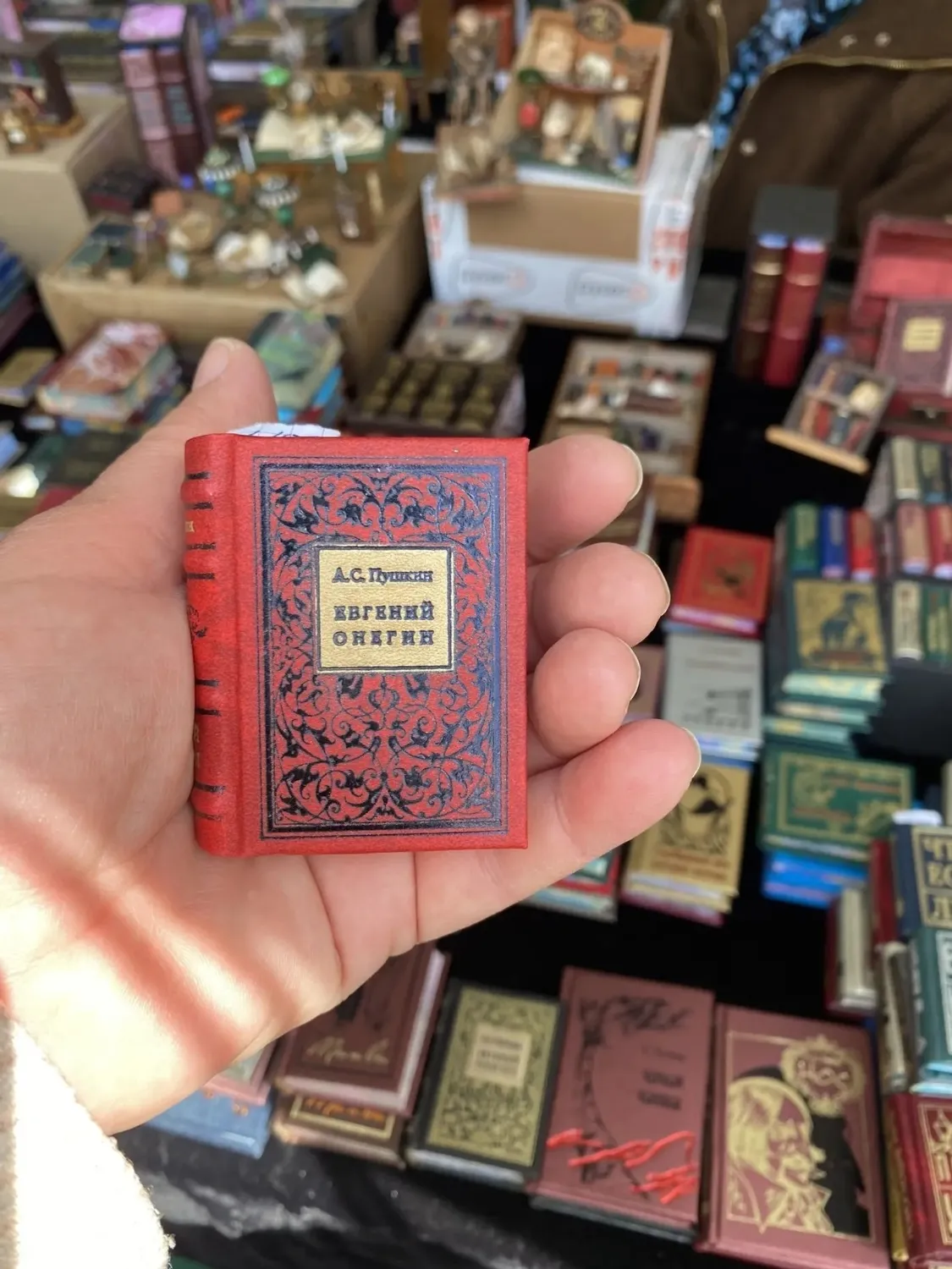 На выставке были представлены книжки со спичечный коробок. Фото: Римма Сафиуллина.