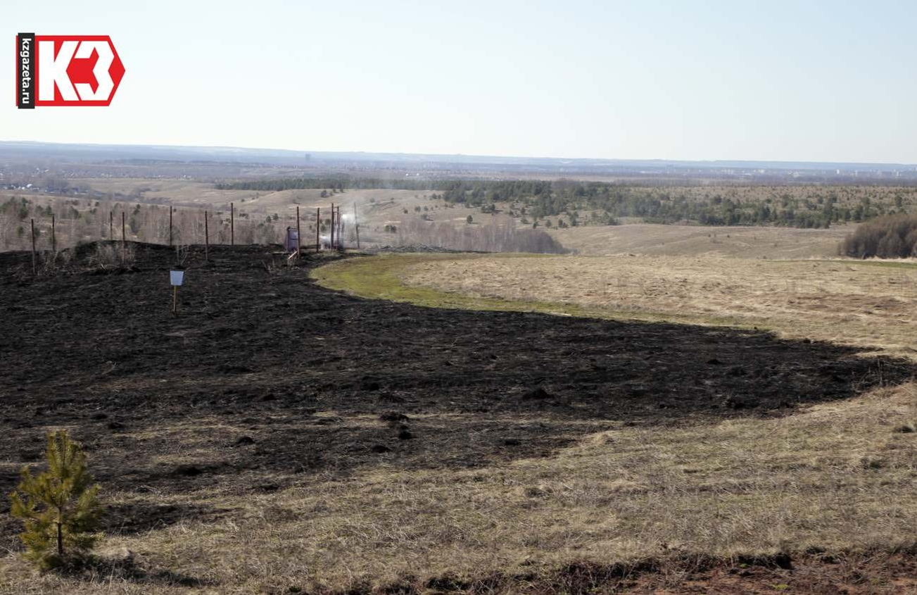 Руслан Никонов, «КЗ».