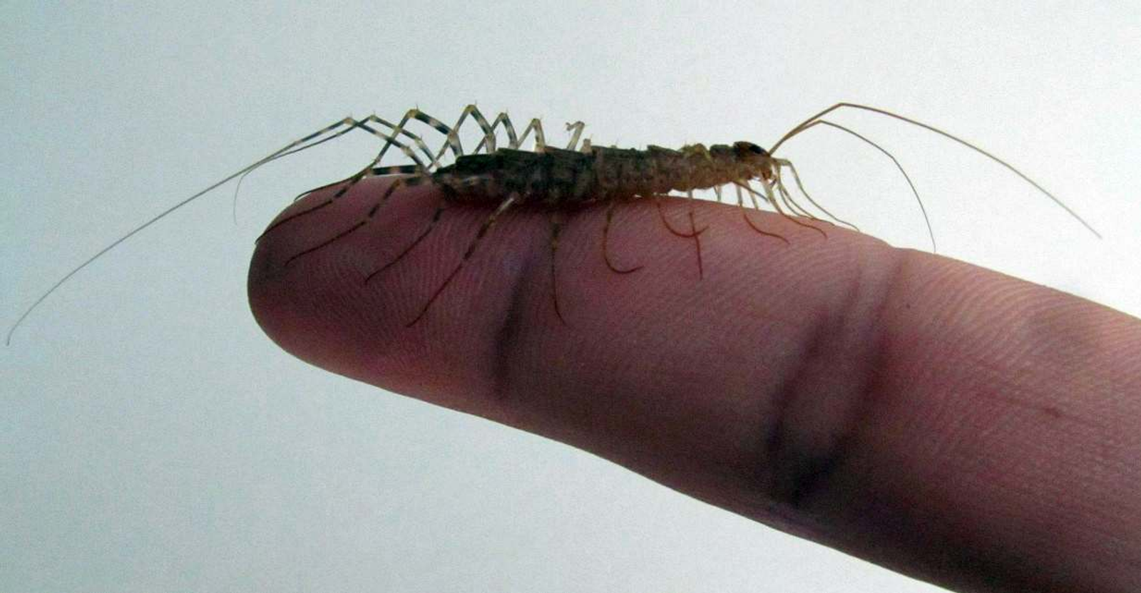 Ильнур Байгильдин.