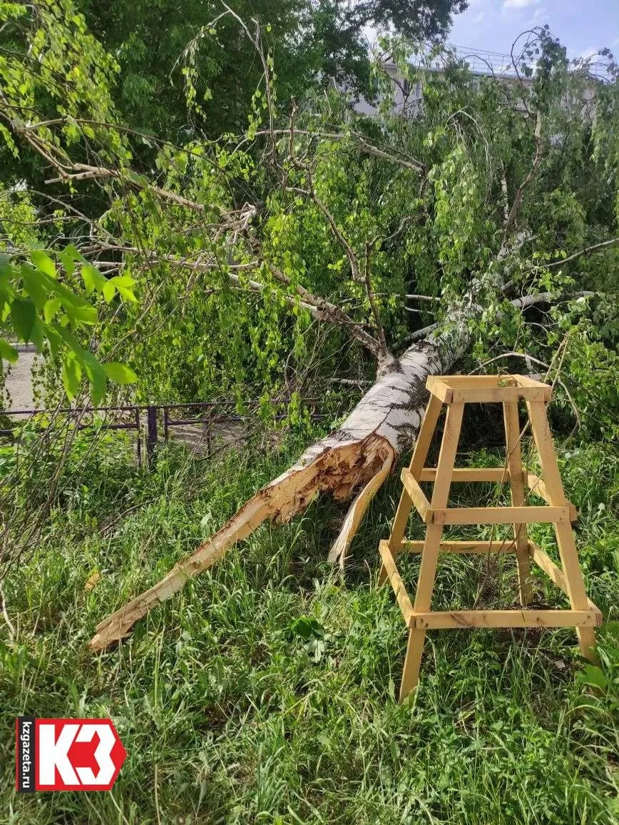 Руслан  Никонов, «КЗ».