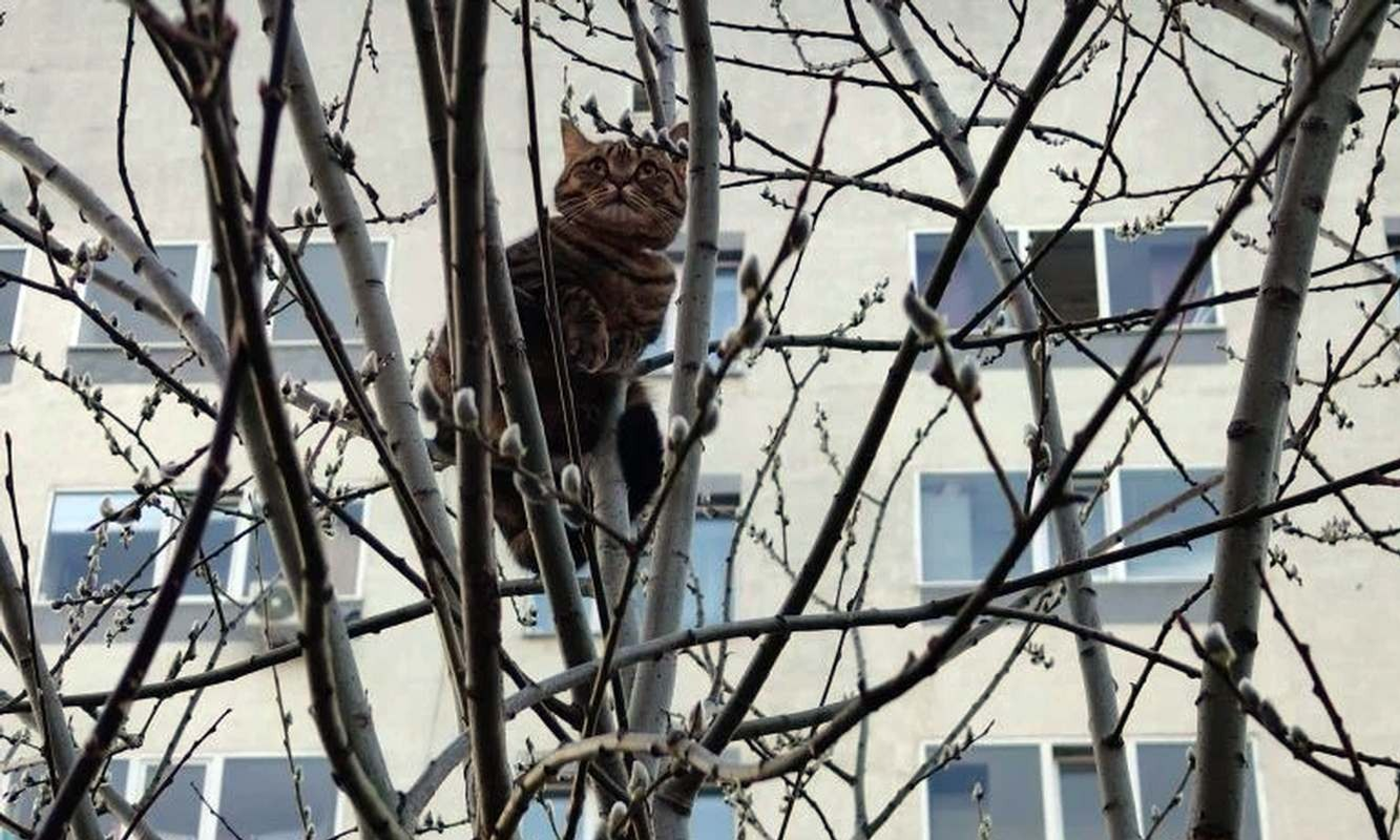 Рина Усманова.