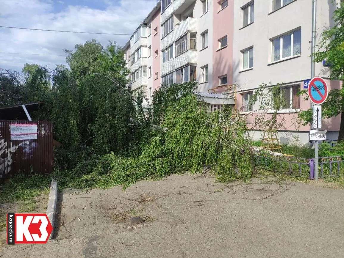 Руслан  Никонов, «КЗ».