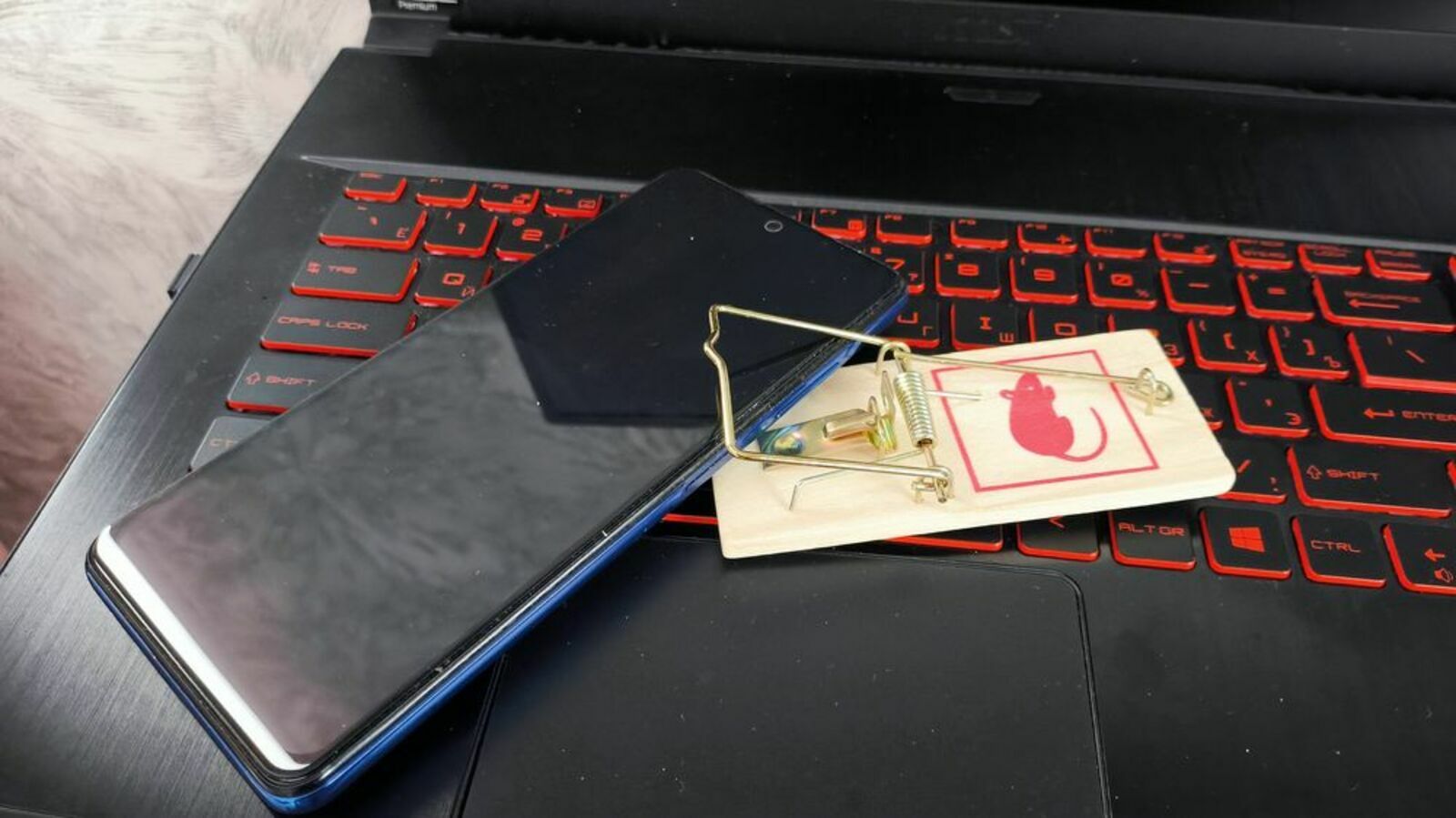 Валерия Любина.