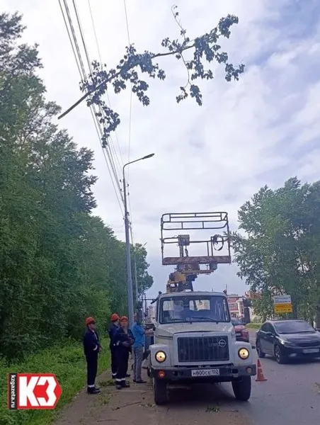 Регина Кузнецова «КЗ».