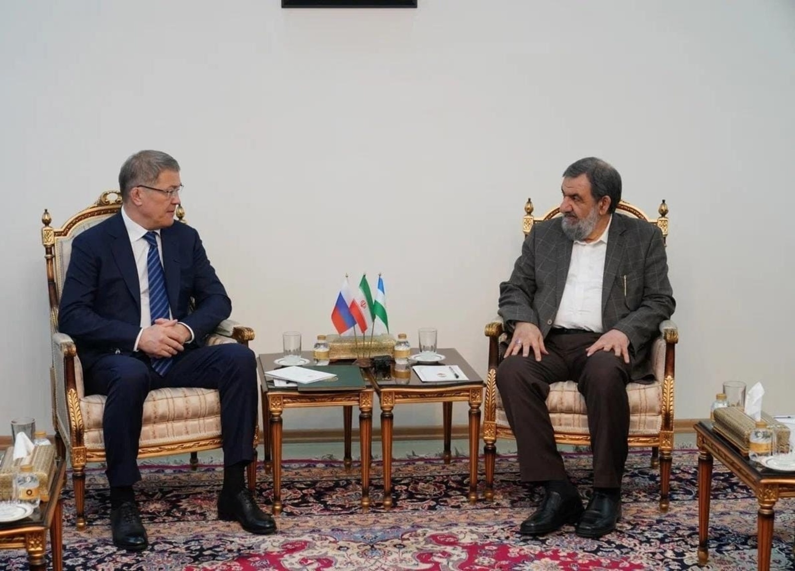 Радий Хабиров встретился с Вице-президентом Ирана